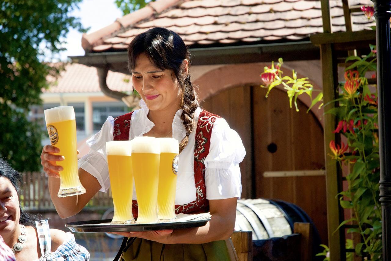 Landgasthaus Roemerhof Obernburg am Main Exteriör bild